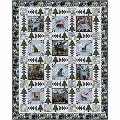 Nature Adventures Quilt Kit Featuring The Wonder of Nature