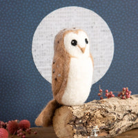 
              BARN OWL NEEDLE FELTING KIT
            