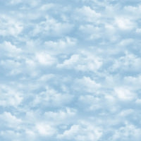 Cloud Texture quilt cotton
