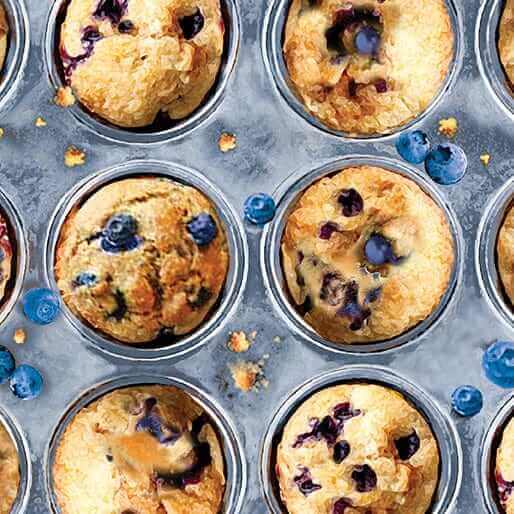 Blueberry Muffins Tin Multi Quilt Cotton