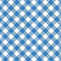 Blueberry Hill Gingham Blue White Quilt Cotton