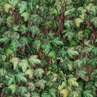 Botanical - Green Ivy Cotton