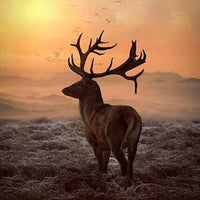 Call Of The Wild Stag / Sunset Elk Quilt Cotton