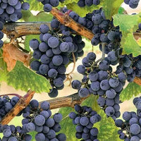 Grape Through the vine Quilt Cotton