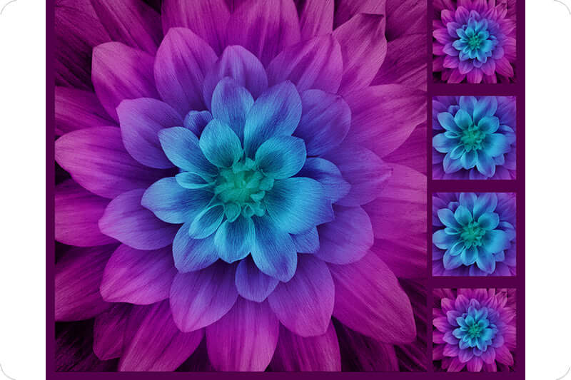 Hoffman Floral Digital Cuddle Panel Aurora